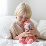 Francesca The Flamingo Weighted
