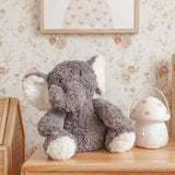 Eleanor the Weighted Elephant