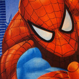 Large Weighted Blankets