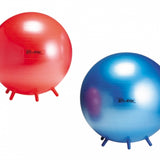 Sit'n'gym ball